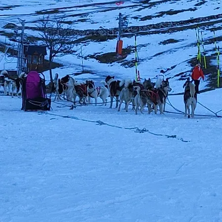 Apartament 4/6 Pers Pied Des Pistes La Mongie *