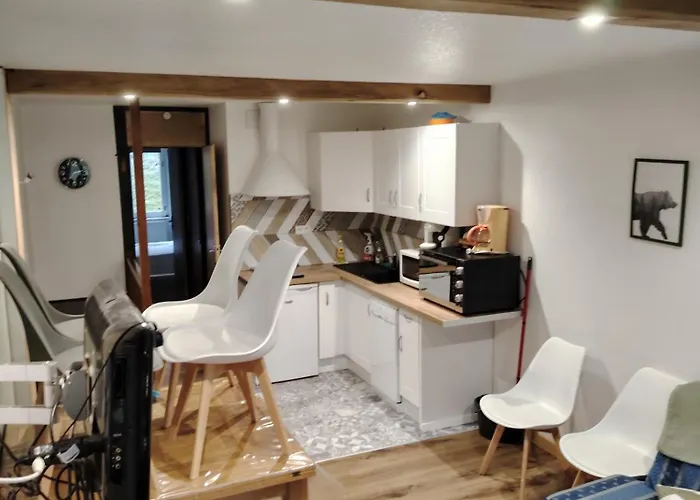 4/6 Pers Pied Des Pistes La Mongie Appartamento *