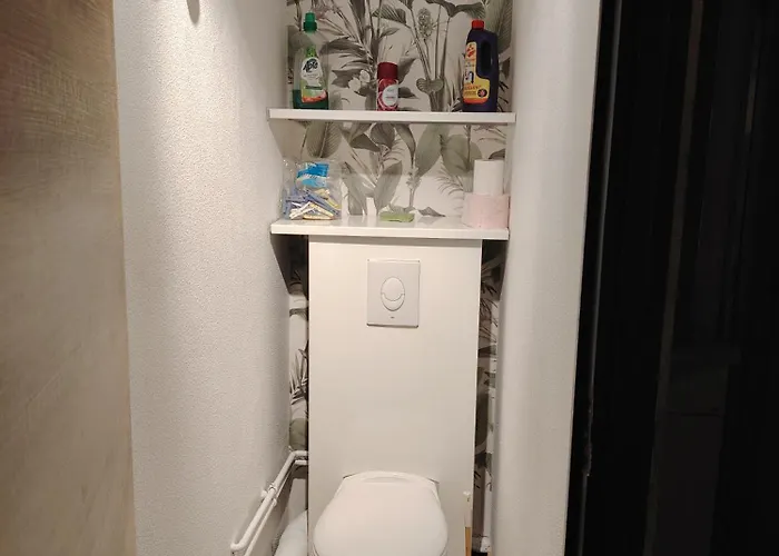 Appartamento 4/6 Pers Pied Des Pistes La Mongie Bagnères-de-Bigorre