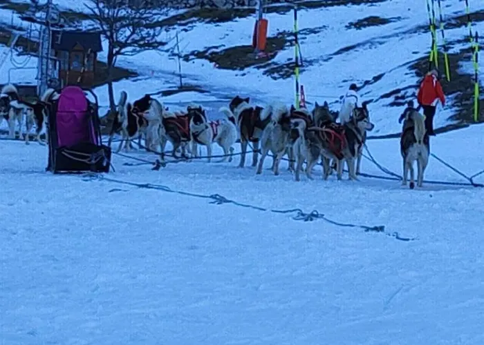 Apartment 4/6 Pers Pied Des Pistes La Mongie *