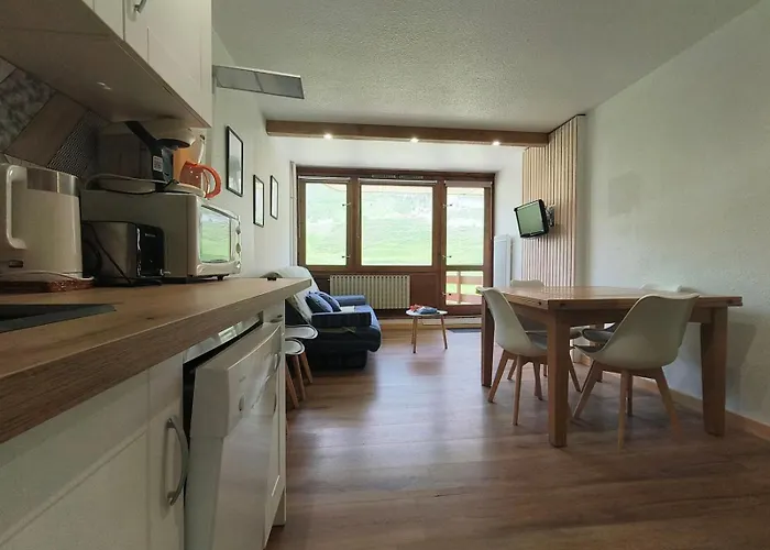 Apartment 4/6 Pers Pied Des Pistes La Mongie *