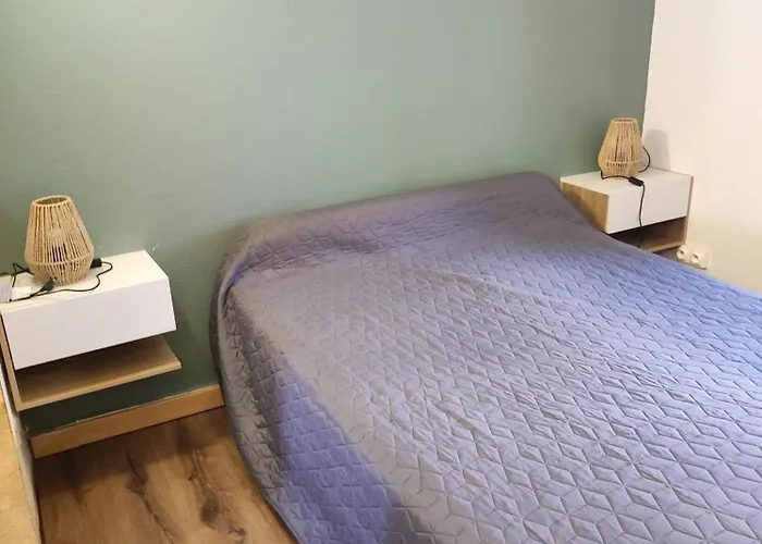 4/6 Pers Pied Des Pistes La Mongie