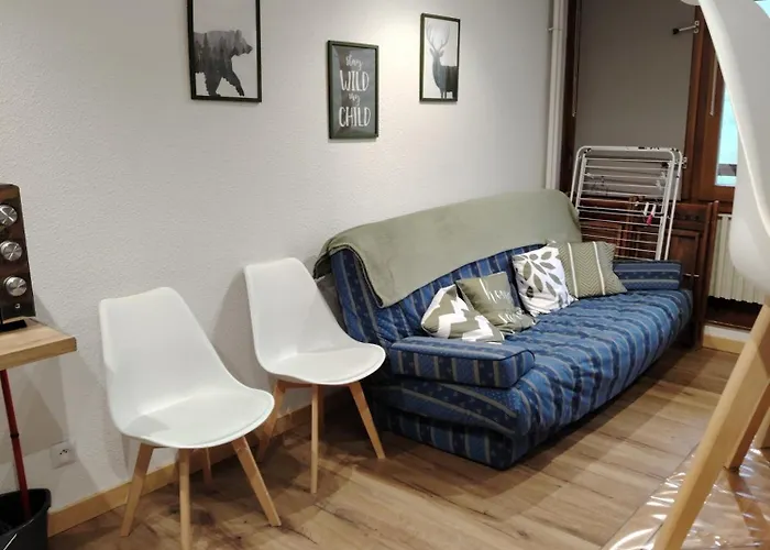 4/6 Pers Pied Des Pistes La Mongie *